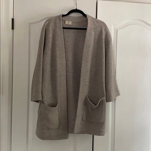 Aritzia Wilfred coat
